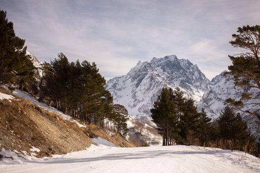 Snow Covered Ground and Mountain