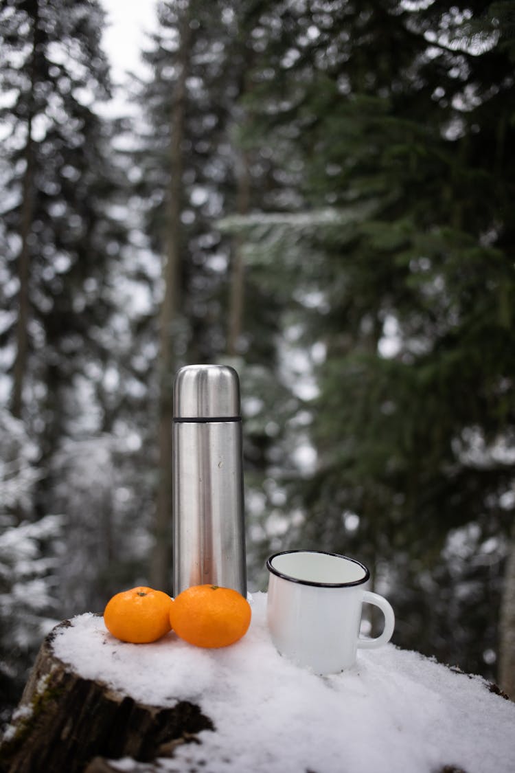 Vacuum Flask, Cup And Oranges In Forest