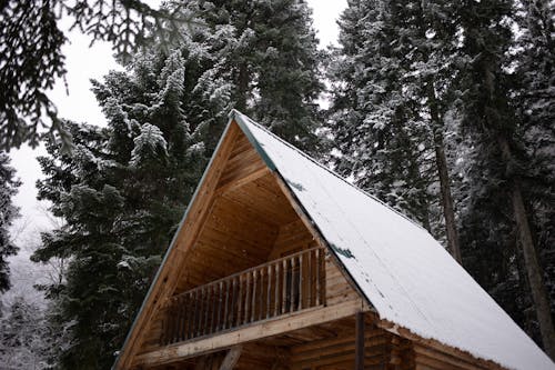 A Snow Covered Cabin with Balcony Near Green Big Trees