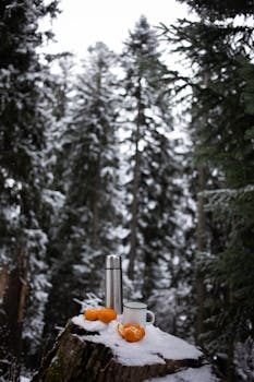 Snowy forest scene with thermos, mug, and oranges on a stump.