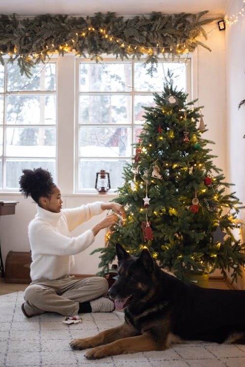 Free A Woman Sitting on the Floor Setting Up a Christmas Tree Stock Photo