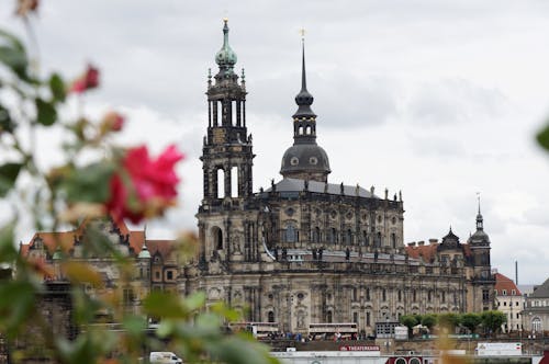 Free Long Lens Photo of a Gray Cathedral and Pink Rose in Foreground Stock Photo