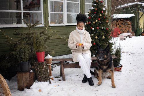 Free Smiling woman enjoying a winter day with her dog by a Christmas tree. Stock Photo