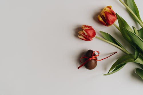 Foto stok gratis buket, bunga tulip, kehidupan tenang