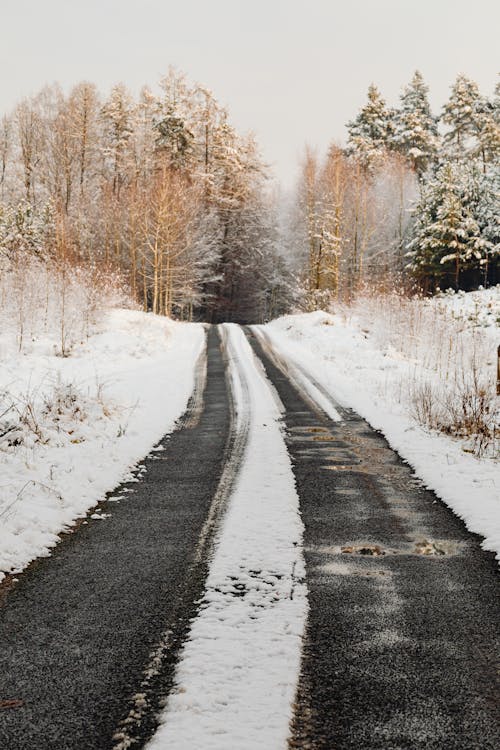 겨울, 경치, 눈의 무료 스톡 사진