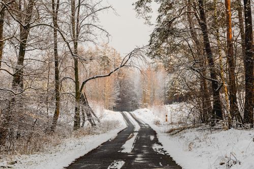 Free A serene winter scene of a snow-covered road through a peaceful forest. Stock Photo