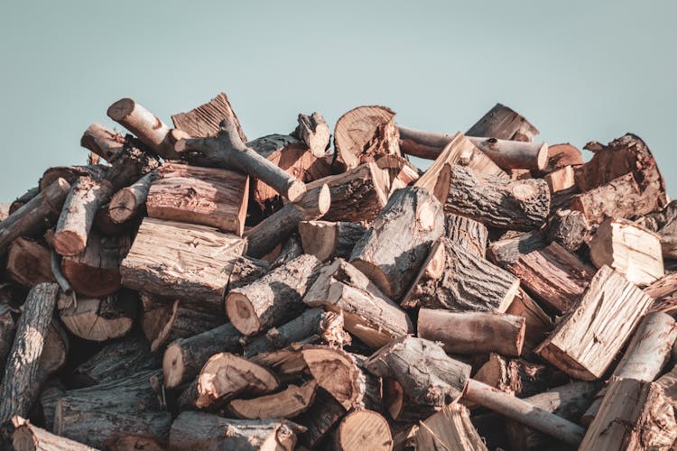 Pile Of Wooden Logs Close-Up Photo