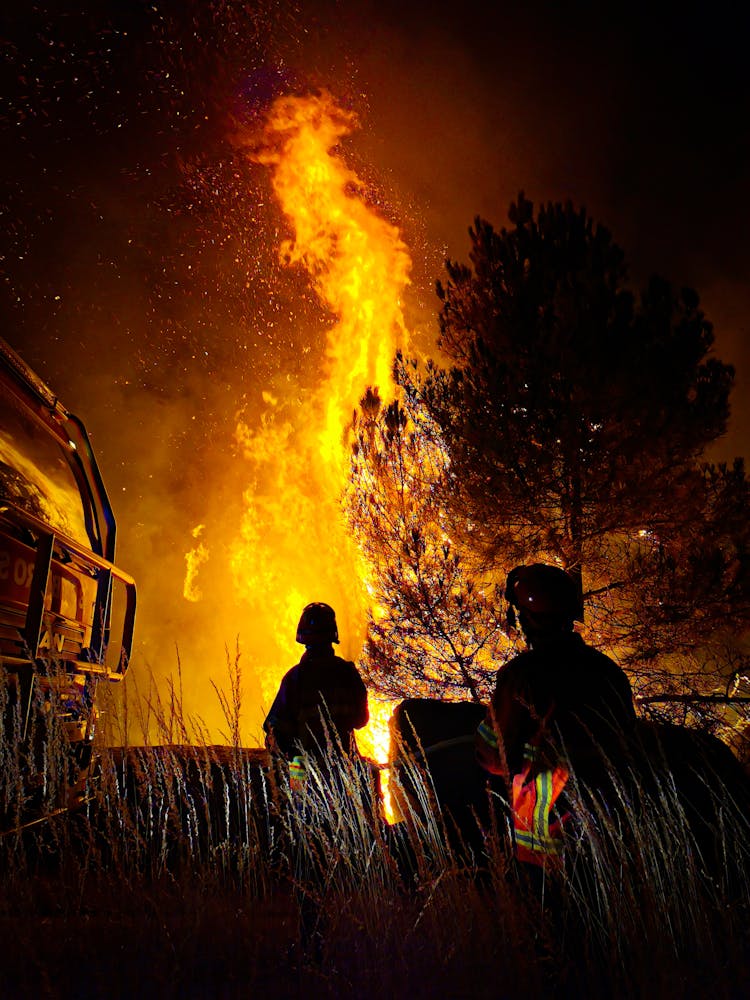 Firemen Fighting A Bush Fire At Night