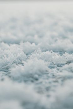 Detailed view of delicate snowflakes and frost crystals on icy surface in winter.