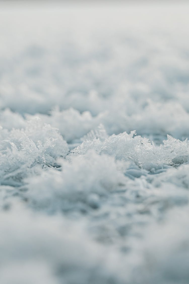 Snowflakes On Ground