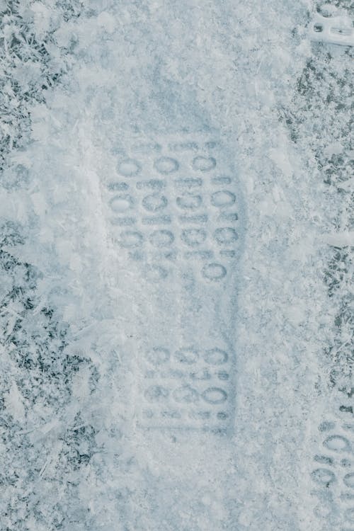 Бесплатное стоковое фото с вертикальный выстрел, зима, мороз