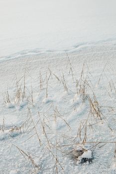 Frozen landscape with snowy ground and twigs visible, evoking winter serenity.