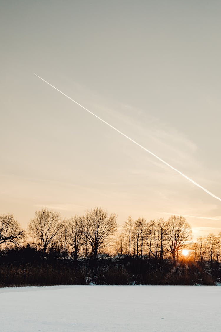 A Jet Leaving White Line Over Silhouetted  Bare Trees During Sunset