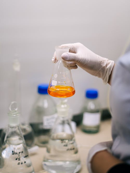 Free Person Holding an Erlenmeyer Flask Stock Photo