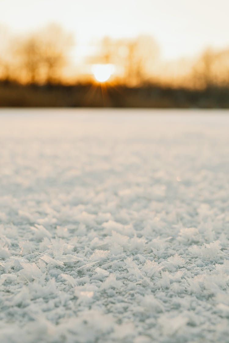 Snow On Ground