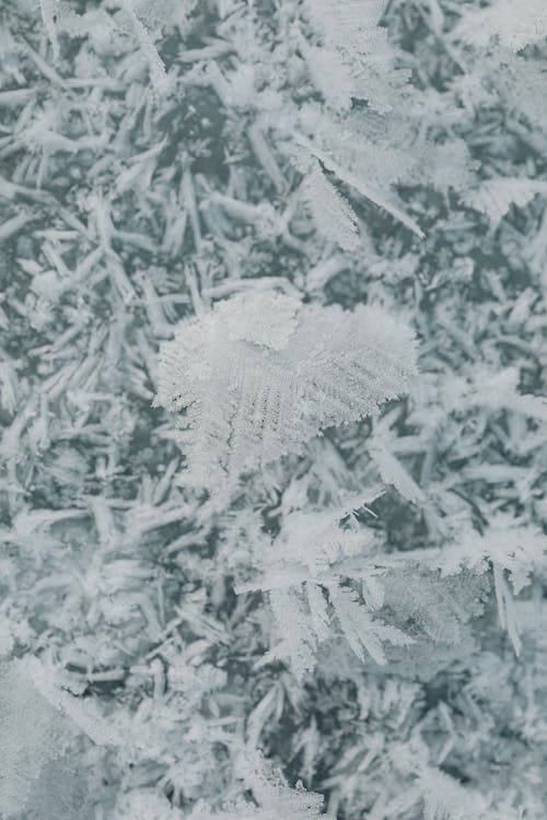 Close Up of Frosted Ice