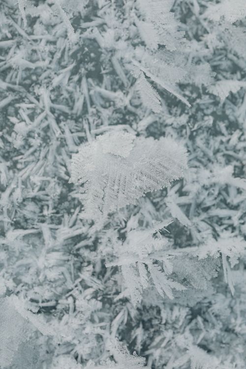 Free Detailed shot of frosty ice crystals capturing the essence of winter's chill. Stock Photo