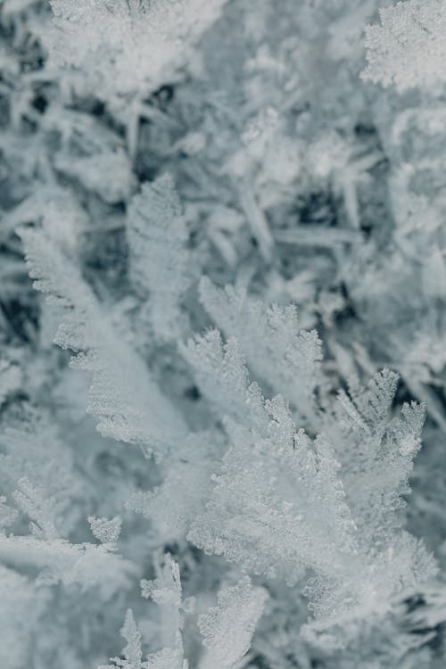 Close Up of Frosted Ice