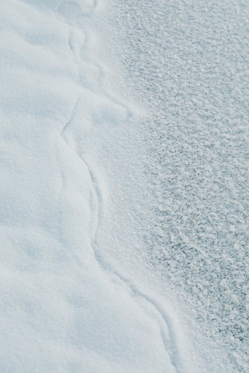 Безкоштовне стокове фото на тему «вертикальні постріл, заморожений, зима»
