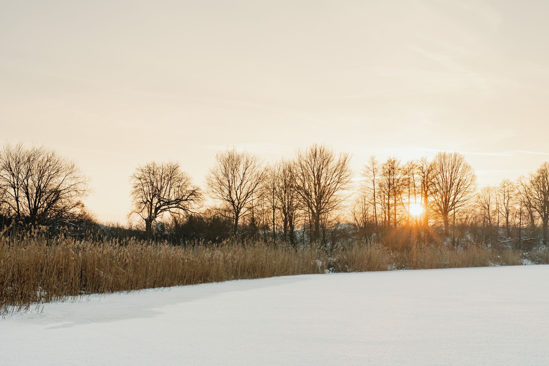 Sunset illuminating a winter landscape with bare trees and snow-covered ground.