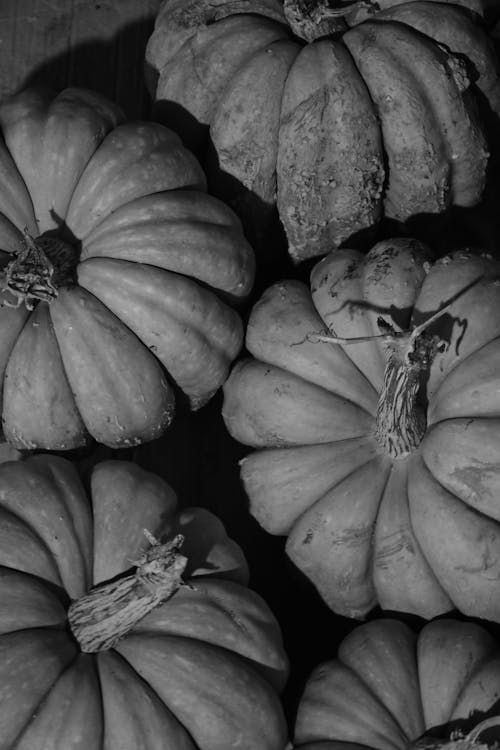Free Grayscale Photo of Pumpkins in Close-up Photography Stock Photo