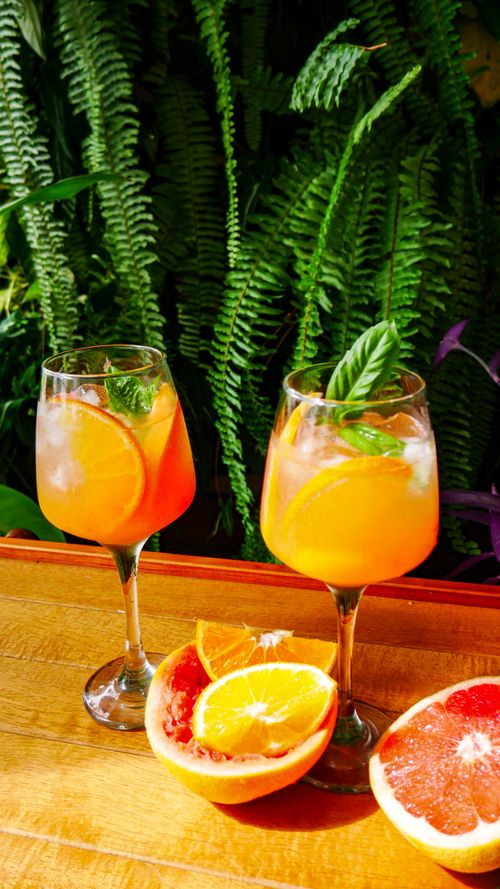 Free Chilled orange and grapefruit cocktails with fresh mint in a garden setting, perfect for summer. Stock Photo