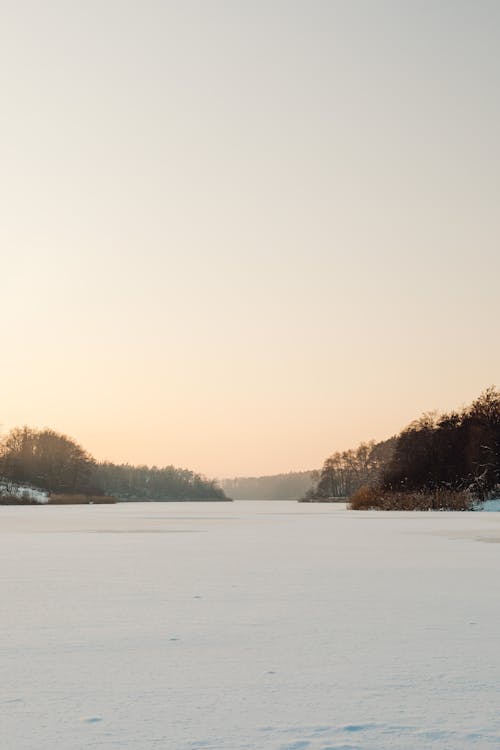 Ilmainen kuvapankkikuva tunnisteilla aamu, flunssa, jäätynyt