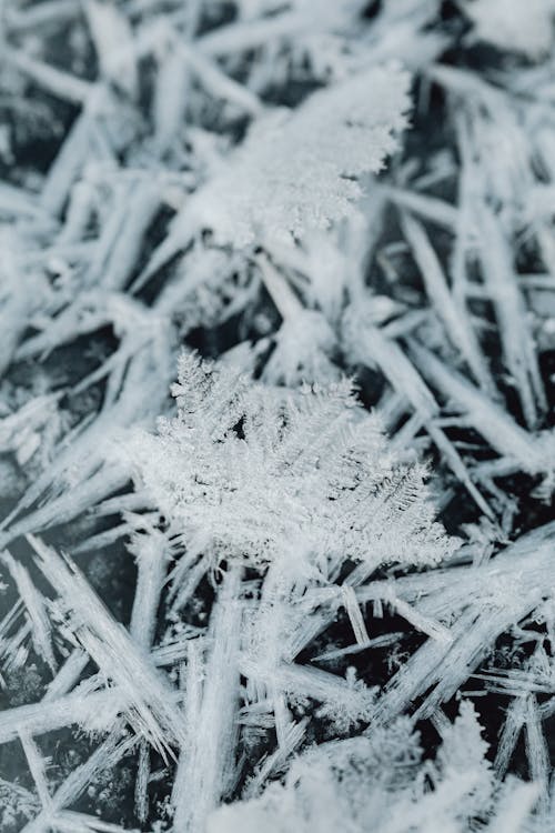 Fotos de stock gratuitas de blanco y negro, copo de nieve, cristal