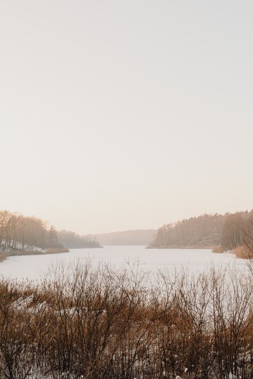 Free Tranquil winter scene featuring a snow-covered frozen lake surrounded by bare trees. Stock Photo