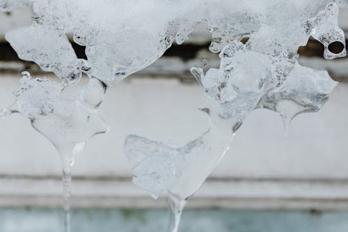 Close-up View of Melting Ice