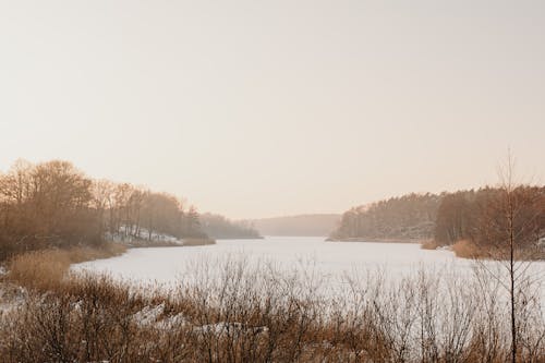 Photos gratuites de arbres, fleuve, fond d'écran