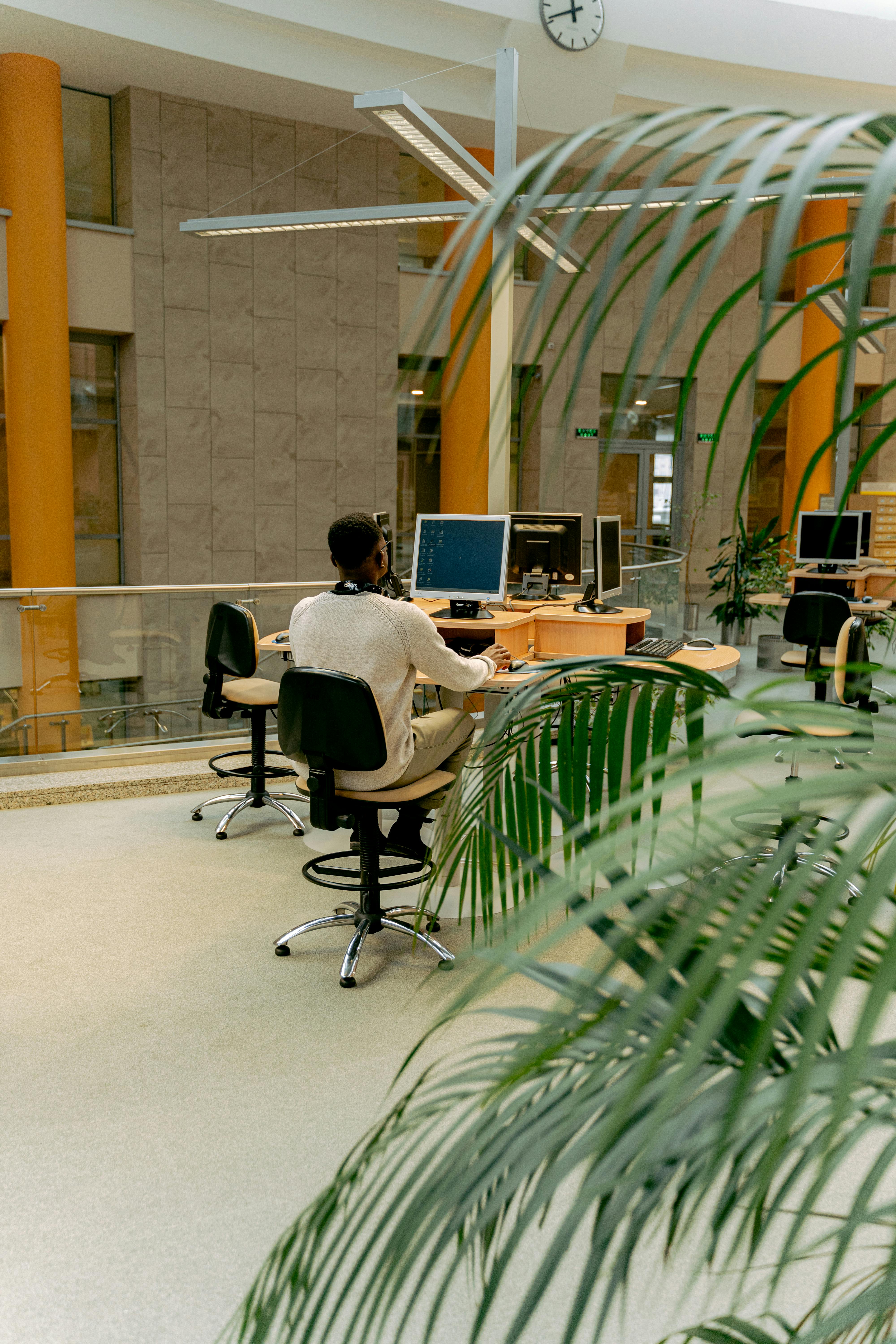 A professional working at a computer in a modern office setting with natural plants.