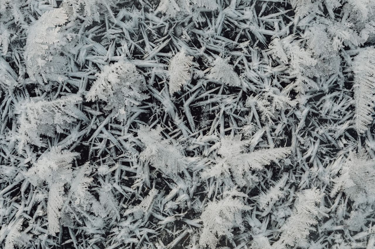 detailed close up of frost and ice formations on glass with a winter t
