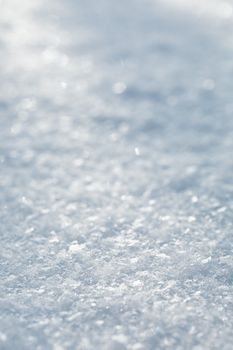 Detailed macro close-up of a snowy surface, capturing delicate texture under soft lighting.