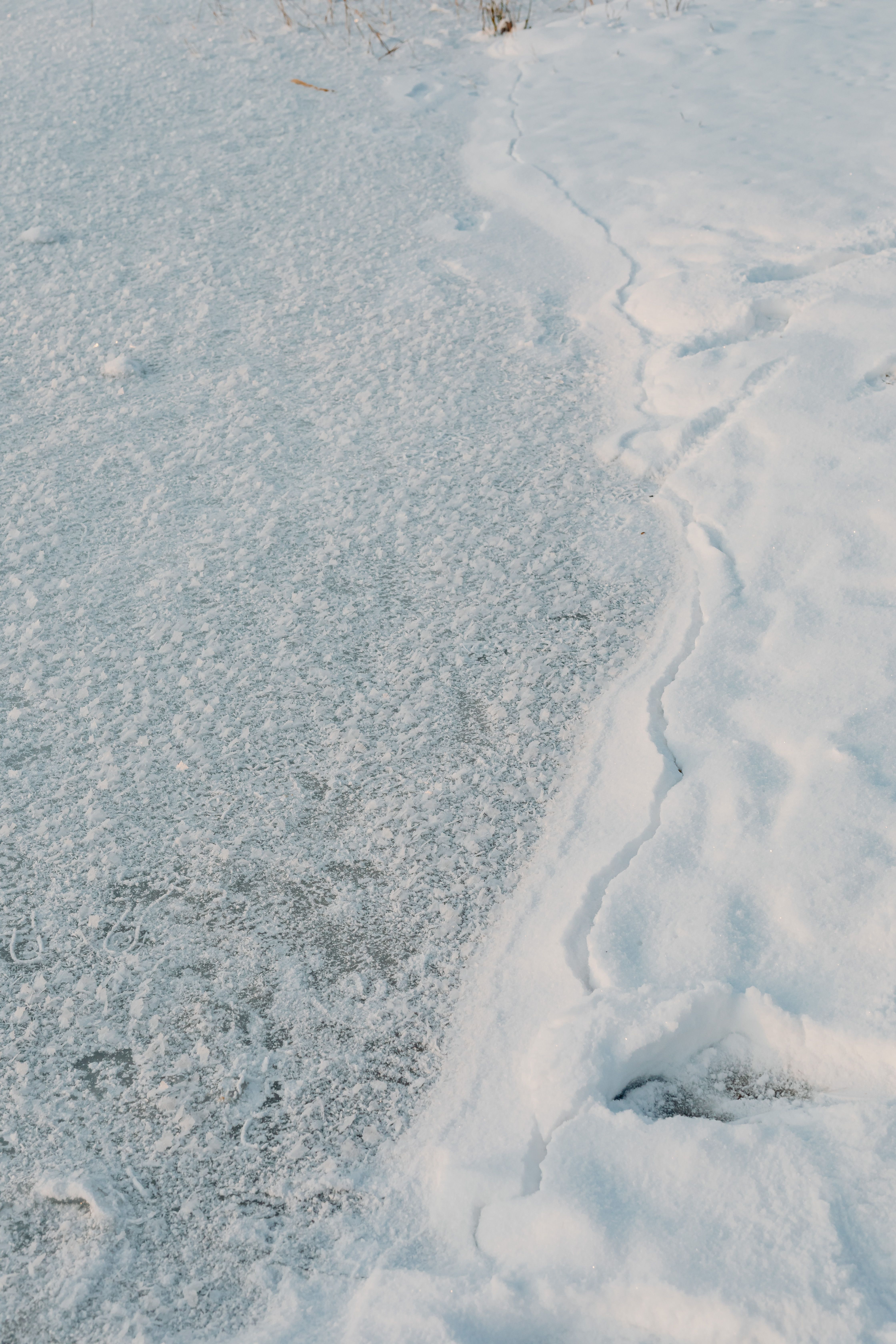 January Photos, Download The BEST Free January Stock Photos & HD Images