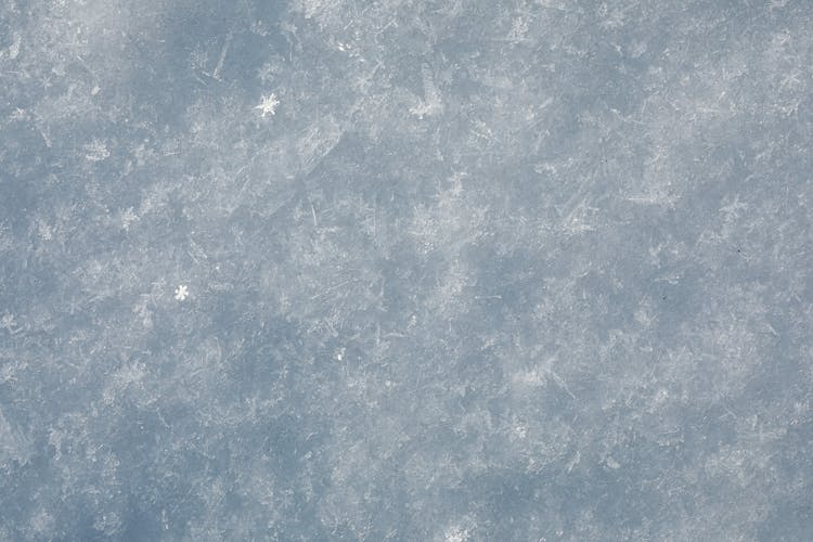 Close-up Of Frozen Surface Texture