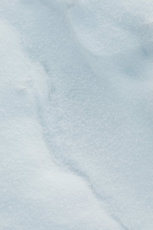 Ilmainen kuvapankkikuva tunnisteilla flunssa, lumi, pystysuuntainen laukaus