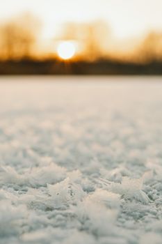 Close-up view of frosty snowflakes under a glowing winter sunrise, creating a serene natural scene.