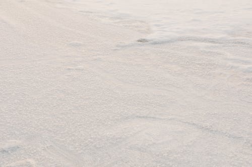 Photo of a Ground Covered in White Snow