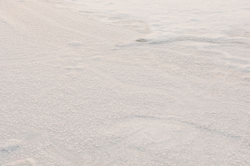 Free Abstract view of a snow-covered surface with delicate textures in soft winter lighting. Stock Photo