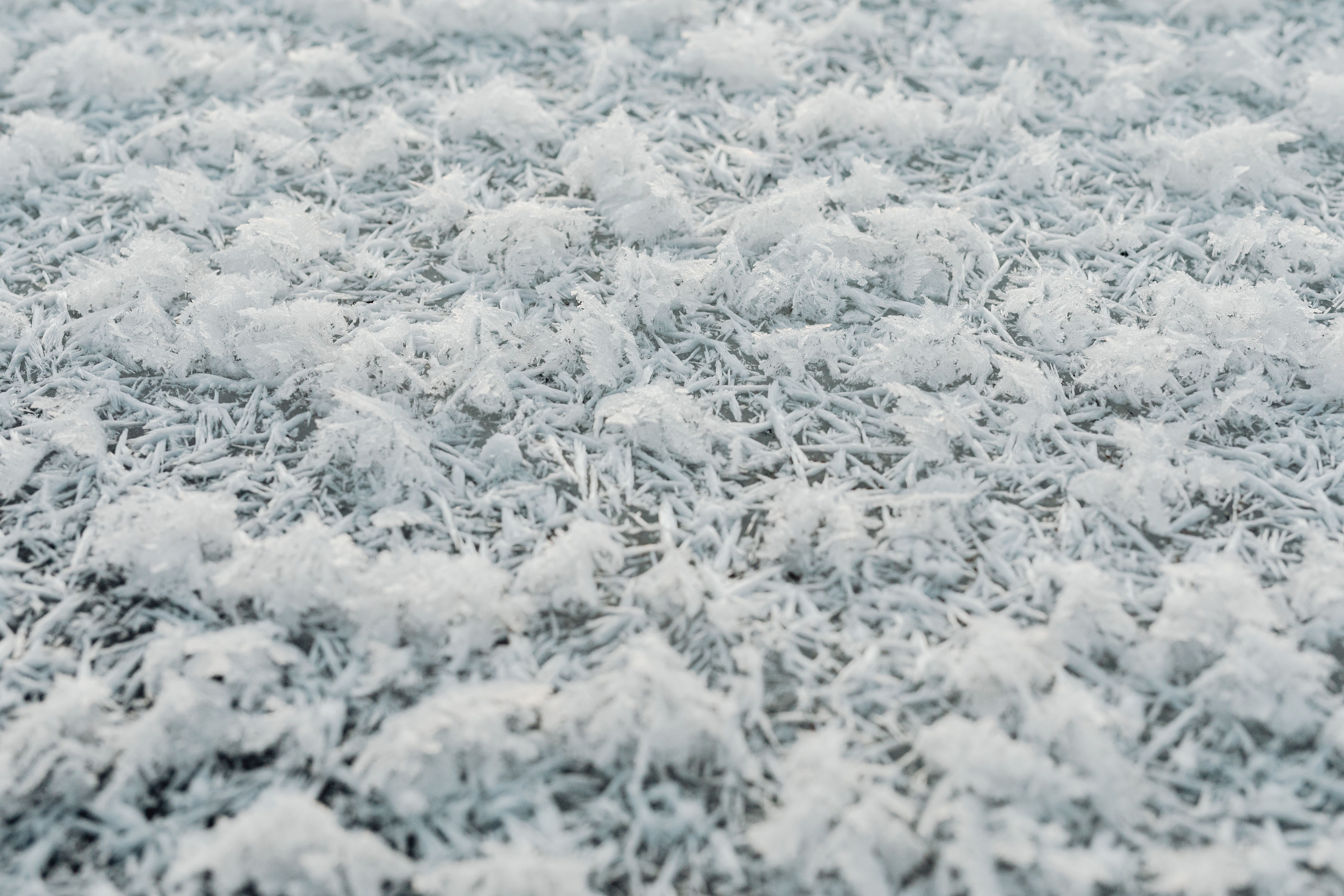 Good+Morning+Ice+Cold+Gif Photos, Download The BEST Free Good+Morning ...