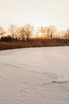 Beautiful winter sunrise illuminating a snowy field with bare trees in the background.