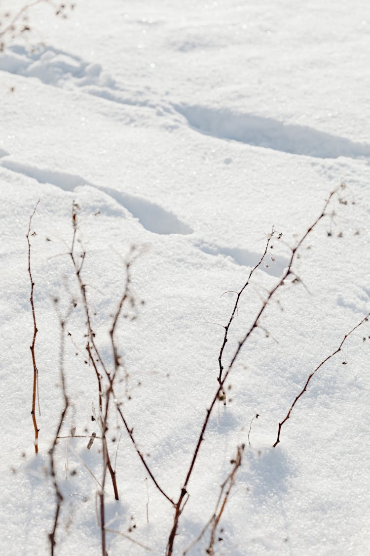 Close-up Of The Ground Covered In A Big Layer Of Snow 