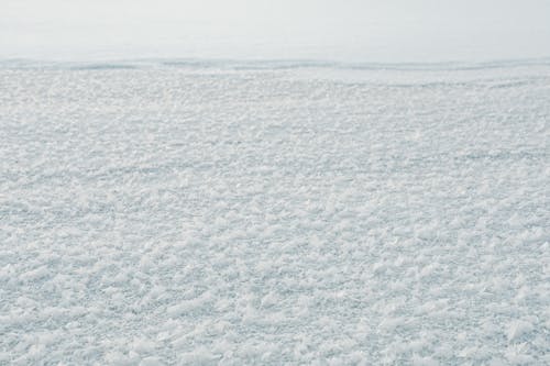 Kostnadsfri bild av frost, kall - temperatur, närbild