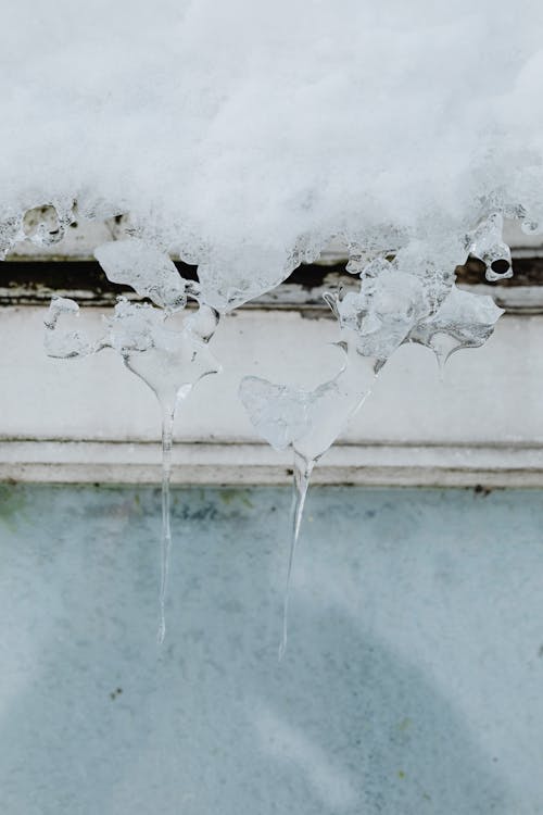 Close-up of Little Icicles and Snow 