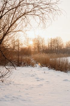 A tranquil winter landscape featuring a snow-covered field and sunset through barren trees.