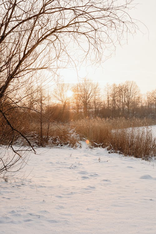 Free Sunset in the Winter on the Lake Stock Photo