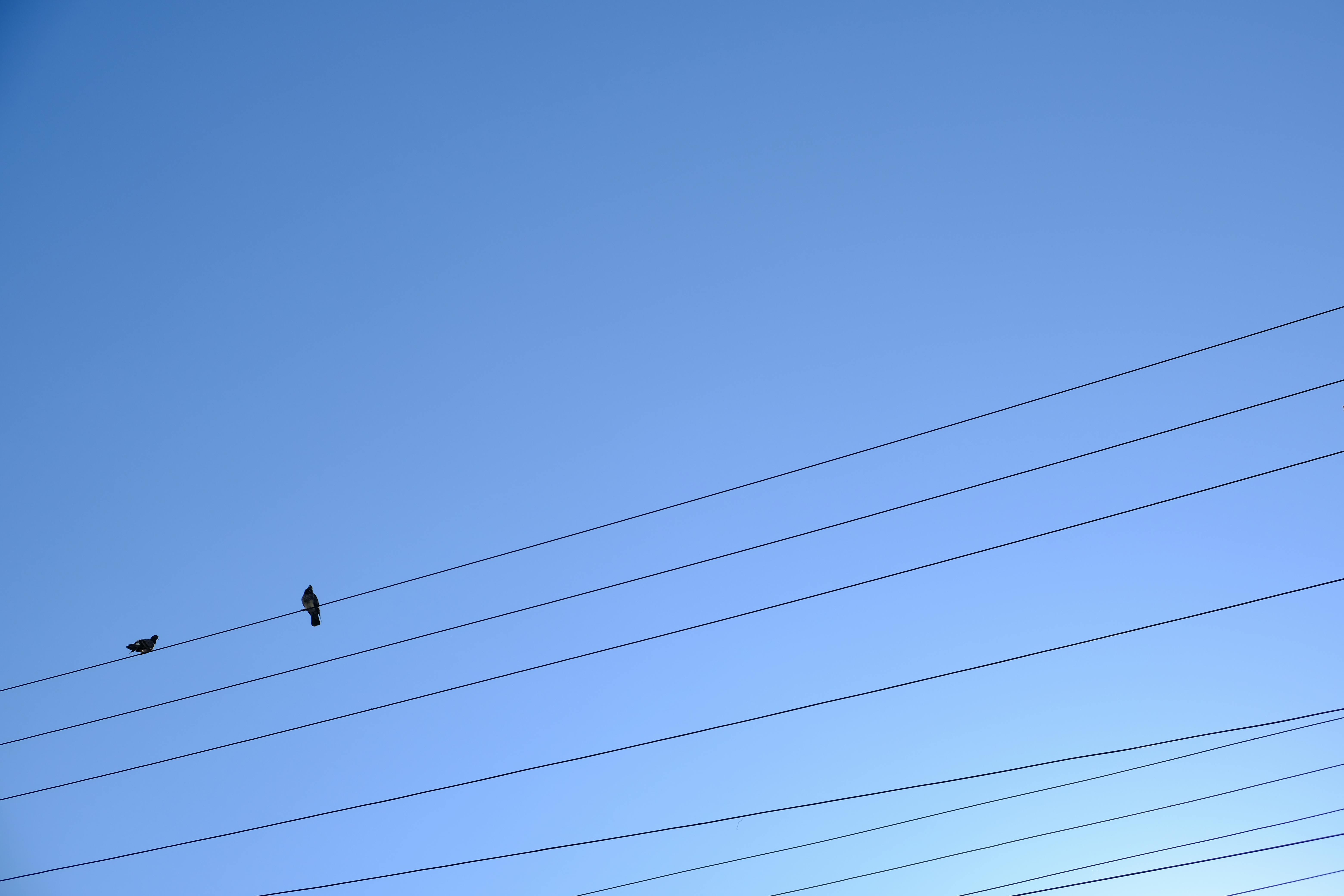 Electrical Grid Photos, Download The BEST Free Electrical Grid Stock