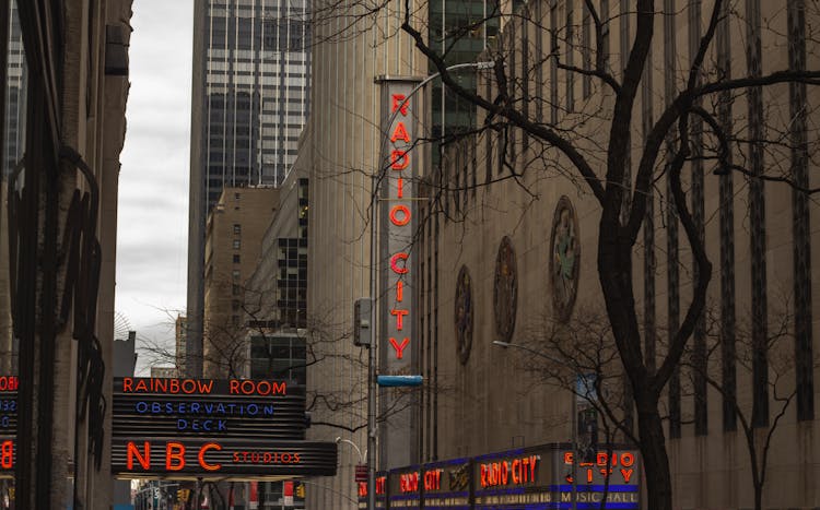 Neon Signages On Concrete Building Walls Near Leafless Trees