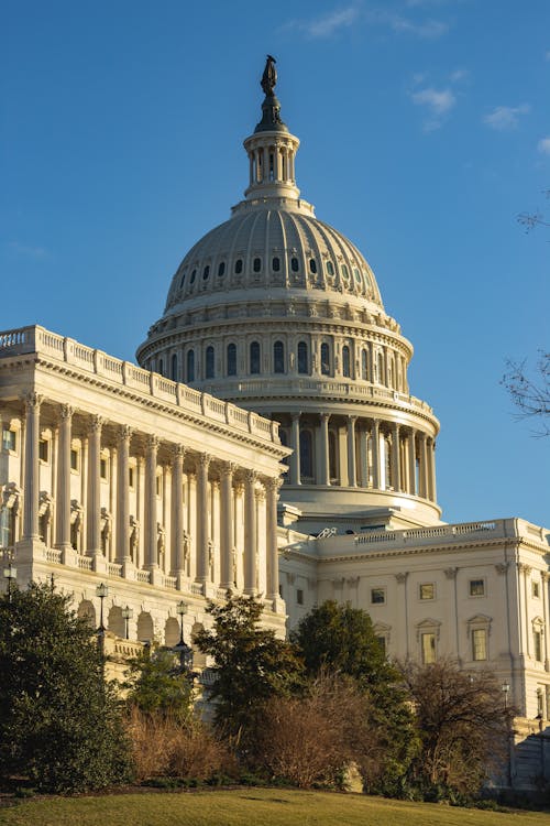 Free Capitol Building in Washington DC  Stock Photo